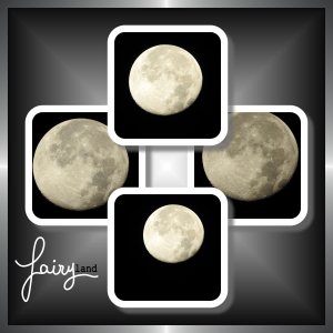 J-n179 - FAIRY LAND.jpg