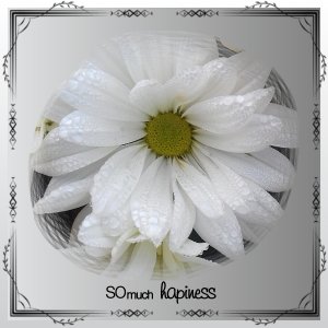 J-n181 - SO MUCH HAPINESS .jpg