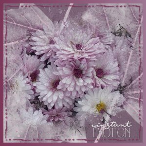 J-n182 - INSTANT EMOTION.jpg