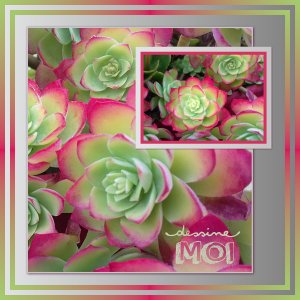 J-n183 - DESSINE MOI.jpg