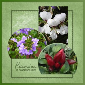 J-e181 - REMEMBER.jpg