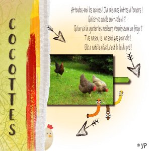 cocotte.jpg