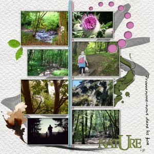 686 promenon nous ds le bois.jpg