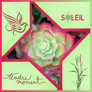 J - TENDRE MOMENT.jpg