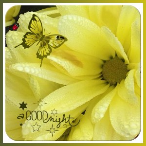 J - A GOOD NIGHT.jpg