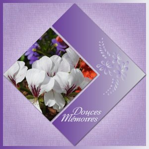 J-a37 - DOUCES MEMOIRES.jpg