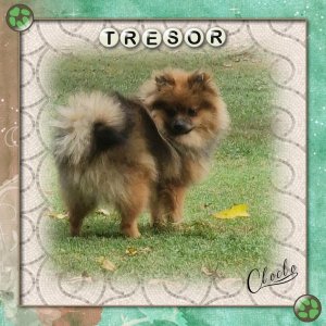 Composition 1 du 29 novembre 2025.jpg