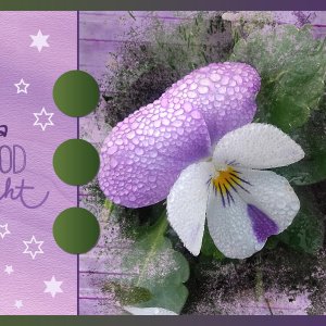 J - A GOOD NIGHT.jpg