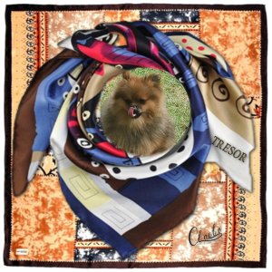 Composition 1 du 30 novembre 2025.jpg