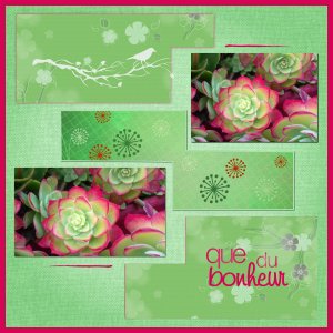 J - QUE DU BONHEUR.jpg