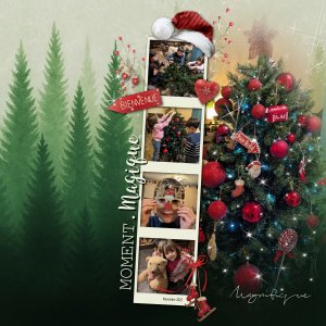 Décoration du sapin