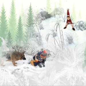 scène hivernale.jpg