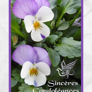 J - SINCERES CONDOLEANCES.jpg