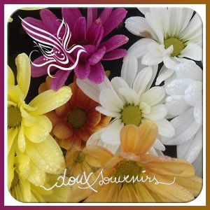 J-a40 - DOUX SOUVENIRS.jpg