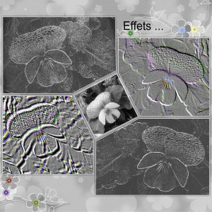 J - EFFETS.jpg