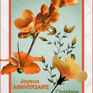 JOYEUX ANNIVERSAIRE.jpg