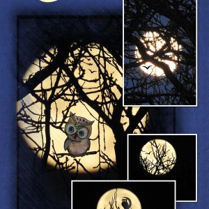 J-n196 - COUCHER DE LUNE.jpg