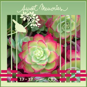 J-a41 - SWEET MEMORIES.jpg