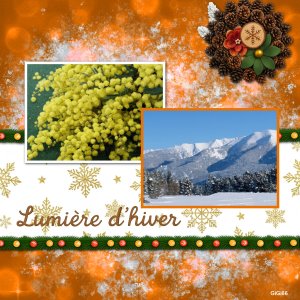 lumiere d'hiver.jpg