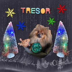 Composition 1 du 27 décembre 2025.jpg