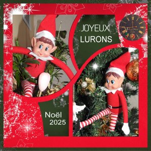 J-N178 - JOYEUX LURONS.jpg