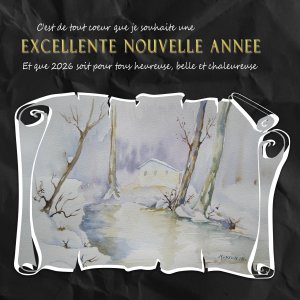 bonne année.jpg