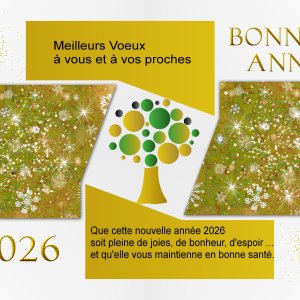 J-e187 - BONNE ANNEE.jpg