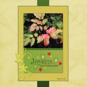 J-a42 - JOYEUX ANNIVERSAIRE.jpg