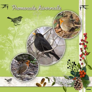 promenade hivernale.jpg