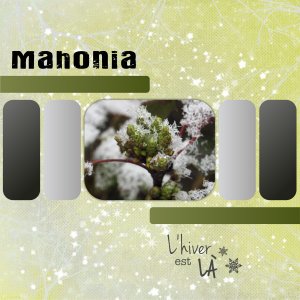 J-n198 - L'HIVER EST LA.jpg