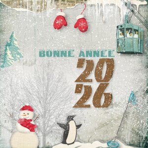 Bonne année 2026.jpg