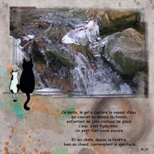 gel ce matin sur le bassin 7 01 2026.jpg