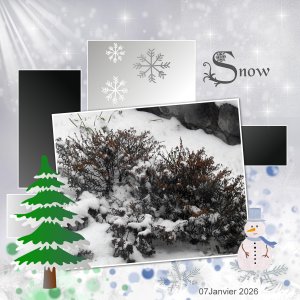 J-n202 - SNOW.jpg