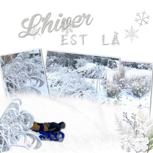 l'hivers.jpg