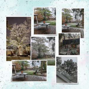 Noël 2025 (page 3).jpg