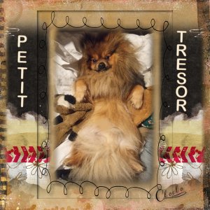 Composition du 16 janvier 2026.jpg