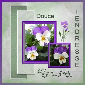 J-c179 - DOUCE TENDRESSE.jpg