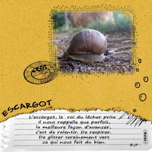 escargot.jpg