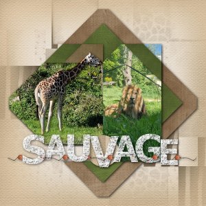 Sauvage..........................défi seedscrap...............