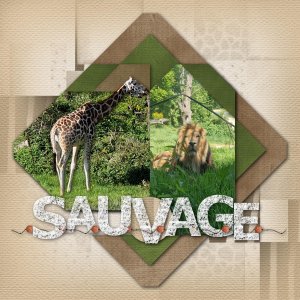 SAUVAGE..............speedscrap........