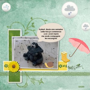 la grenuoille pluie .jpg