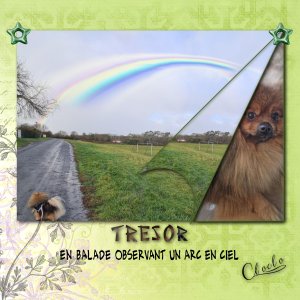 Composition 1 du 24 janvier 2026.jpg