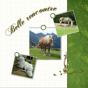 rencontre.jpg
