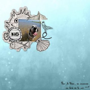 rio le chien  ss9.jpg