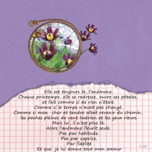 anémone challenge lilly du 06-02-26