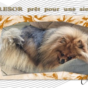 Composition 1 du 6 février 2026 - Copie.jpg