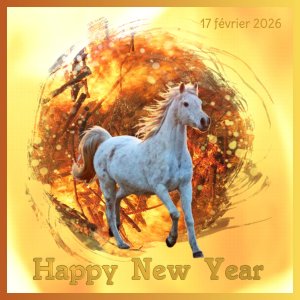 J-c189 - HAPPY NEW YEAR.jpg