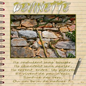 devinette.jpg