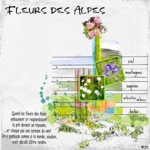 fleurs des alpes.jpg