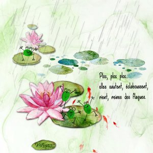 croquis de grenouilles